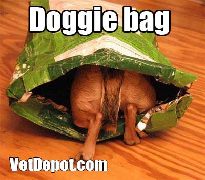 VetDepot caption contest winner 15