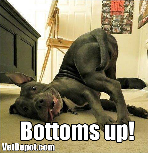 VetDepot caption contest winner 63