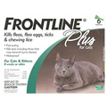 Cat Flea &amp; Tick Control