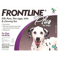 Dog Flea &amp; Tick Control