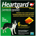 Dog Heartworm