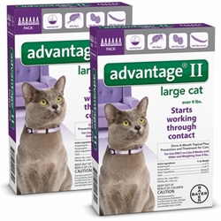 Advantage II for Cats 9-18 lbs, Purple, 12 Pack