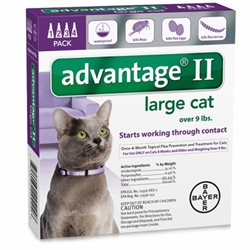 Advantage II for Cats 9-18 lbs, Purple, 4 Pack