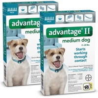 Advantage II for Dogs 11-20 lbs, Teal, 12 Pack