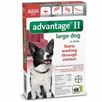 Advantage II for Dogs 21-55 lbs, Red, 6 Pack