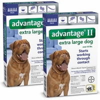 Advantage II for Dogs 55-100 lbs, Blue, 12 Pack