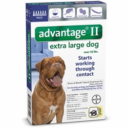 Advantage II for Dogs 55-100 lbs, Blue, 6 Pack