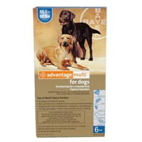 Advantage Multi For Dogs 55-88 lbs, Blue, 12 Pack