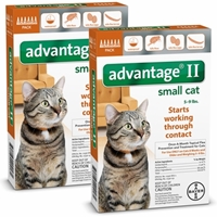 Advantage II for Cats 1-9 lbs, Orange, 12 Pack