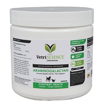 Arabinogalactan Powder for Dogs and Cats, 100gm