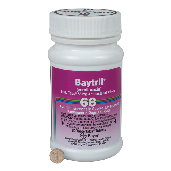 Baytril (enrofloxacin) 68 mg, 250 Taste Tablets