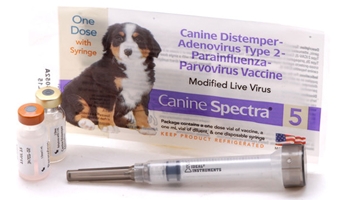 Canine Spectra Single Dose Vaccine