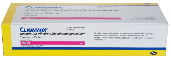 Clavamox 250 mg, 100 Tablets