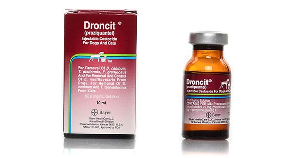 Droncit (Praziquantel) Injectable 10 mL