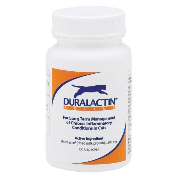 Duralactin Feline, 60 Capsules