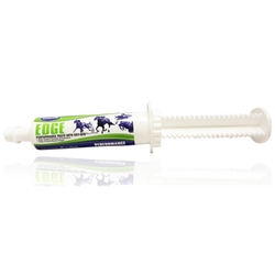 EDGE Performance Paste Syringe, 80  cc