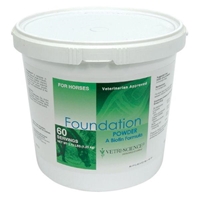 Foundation Powder, 60 Servings
