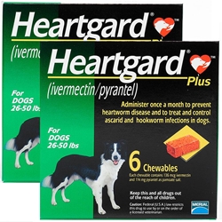 Heartgard Plus for Dogs, 26-50 lbs, Green, 12 Chewables