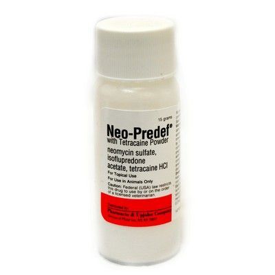 Neo-Predef Powder 15 gm