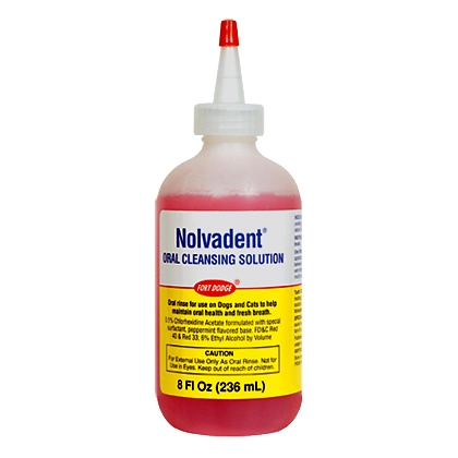 Nolvadent, 8 oz