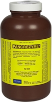 Pancrezyme Powder, 12 oz