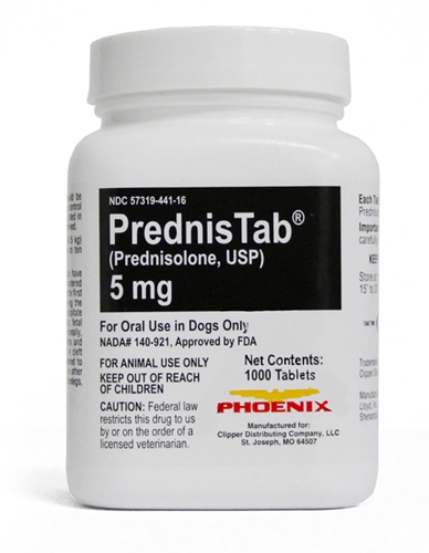 PrednisTab [Prednisolone] 5 mg, 1000 Tablets