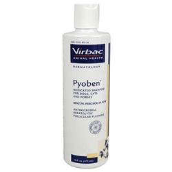 Pyoben Shampoo, 16 oz