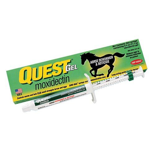 Quest Gel, 0.4 oz Oral Syringe