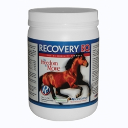 Recovery EQ Powder, 2.2 lbs (1 Kg, 40 Days)