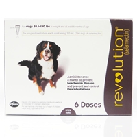 Revolution for Dogs 85-130 lbs, Plum, 6 Pack