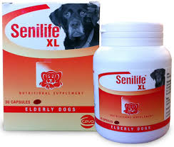 Senilife XL Capsules, 30