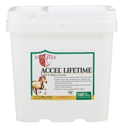 Accel Lifetime, 10 lbs