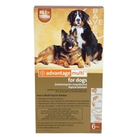 Advantage Multi for Dogs 88-110 lbs, 6 Pack (Brown)