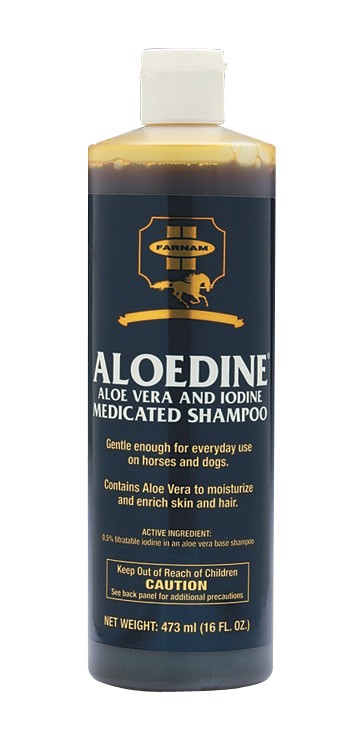 Aloedine Shampoo, 16 oz