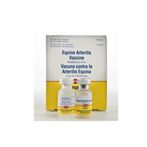 Arvac Equine Arteritis Vaccine 10 dose (10 x 1 mL)