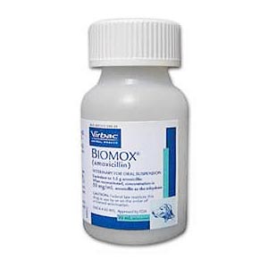 Biomox Oral Suspension, 50 mg/mL, 30 mL (amoxicillin)