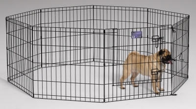 Black E-Coat Exercise Pen, 24" x 24"