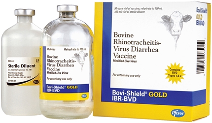 Bovi-Shield Gold IBR-BVD - 50 ds Vial