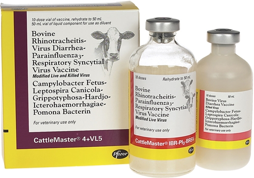 Cattlemaster 4 Plus VL5 - 5 ds Vial