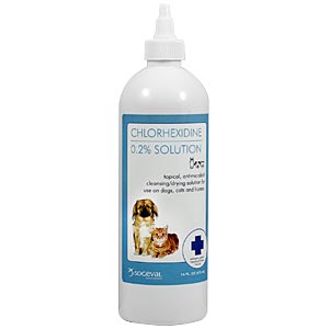 Chlorhexidine Flush 0.2% Solution, 16 oz