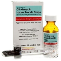 Clindamycin Hydrochloride Drops, 25 mg/mL, 20 mL : VetDepot.com