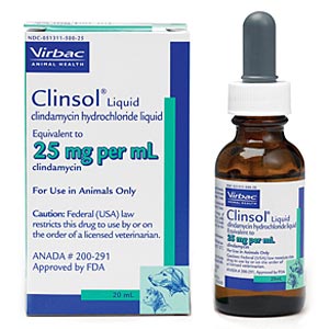 Clinsol Liquid 25 mg/ml, 20 mL (clindamycin)