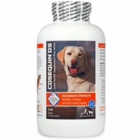 Cosequin DS (Double Strength) Plus MSM for Dogs, 250 ct