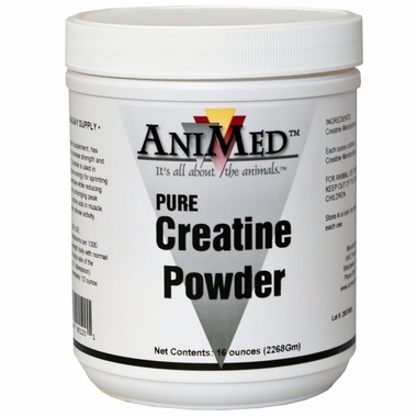 Creatine Pure Powder, 16 oz