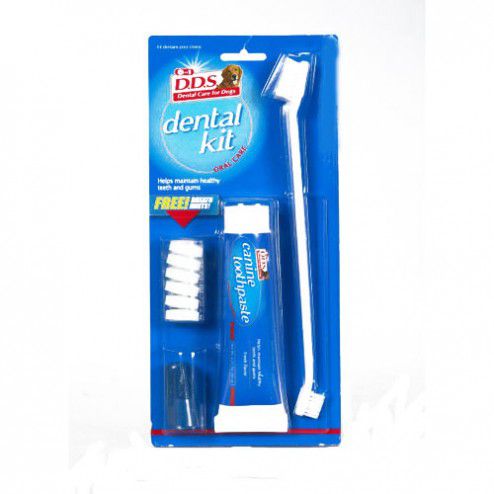 D.D.S. Canine Dental Kit