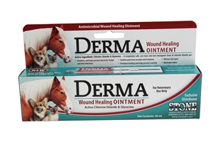 Derma-ClO2 Wound Healing Topical Ointment, 30 mL