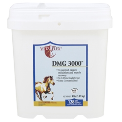 DMG 3000 Powder, 4 lbs