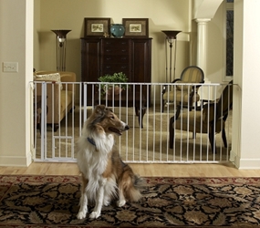 Extra Tall Maxi Gate, 38" x 37"