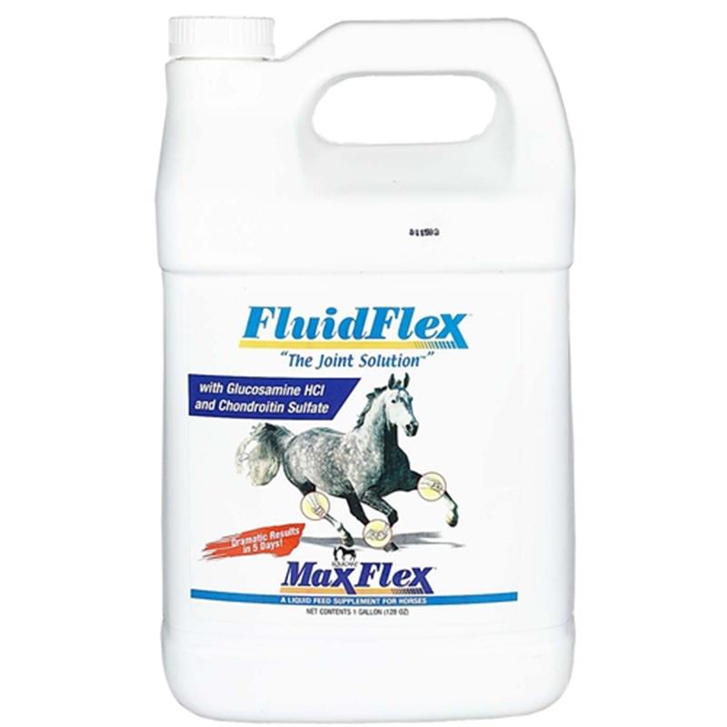 FluidFlex for Horses, 1 gal