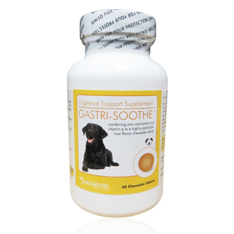 Gastri-Soothe Digestive Support Formula for Dogs, 60 Chewable Tablets